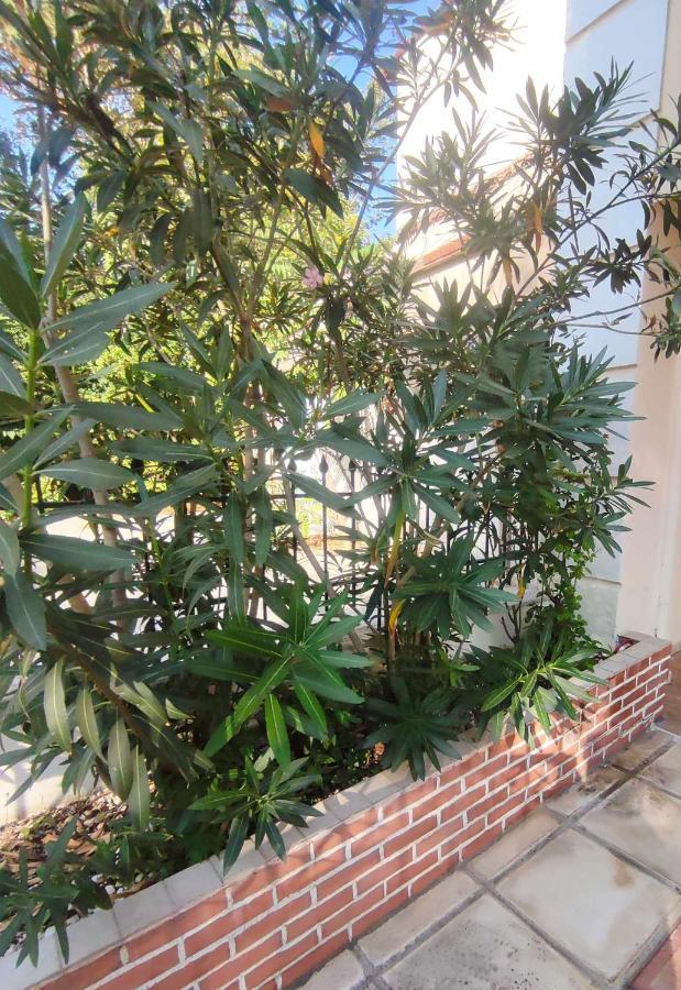 Incognito Apartment เทสซาโลนิกิ ภายนอก รูปภาพ
